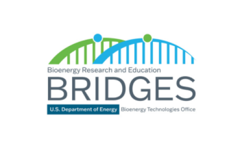 BRIDGES Logo 