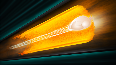 A turkey stylized in a particle accelerator