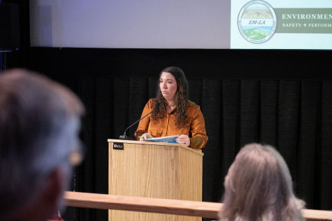 A woman stands at a podium at the front of a room and addresses an audience