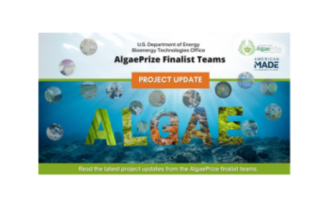 AlgaePrize Finalists Thumbnail