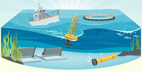 Illustration of various marine energy devices at sea