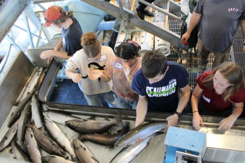 Kids wearing name tags stand next to a long metal trough full of large fish