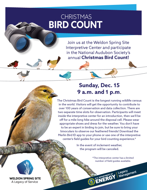 Christmas Bird Count flyer