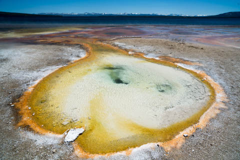 A Yellowstone hot spring with teal water surrounded by white and yellow mineral deposits. Mountains and a blue sky are in the background. 