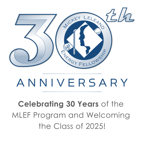 30th MLEF Anniversary Graphic