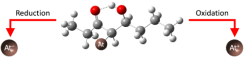 Schematic of the astatine-ketone bond breaking to release free astatine-211.