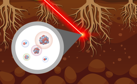 Hotspots of plant-microbe interaction play an oversized role in nutrient biogeochemistry, but their distribution is hard to map. A new method maps nutrient flows into these hotspots and enhances efforts to understand their lifetime and formation.