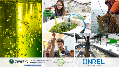 AlgaePrize 2025-2027 Collage