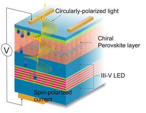 A spin-LED stack consisting of a chiral semiconductor layer that controls the orientation of electron spins to emit circularly polarized light.