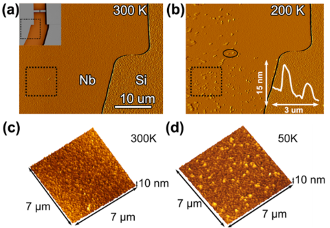 (a-d) Atomic force microscopy (AFM) images of niobium (Nb) based superconducting qubits at (a,c) room temperature and (b,d) cryogenic temperatures. At low temperatures, the “hills” represent the formation of niobium hydrides. 