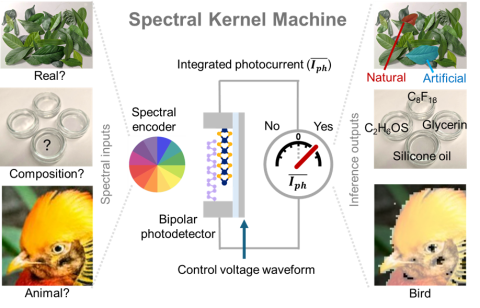 The new sensors, called spectral kernel machines (SKMs) convert optical spectra into diverse environmental knowledge at high speed with low power consumption.