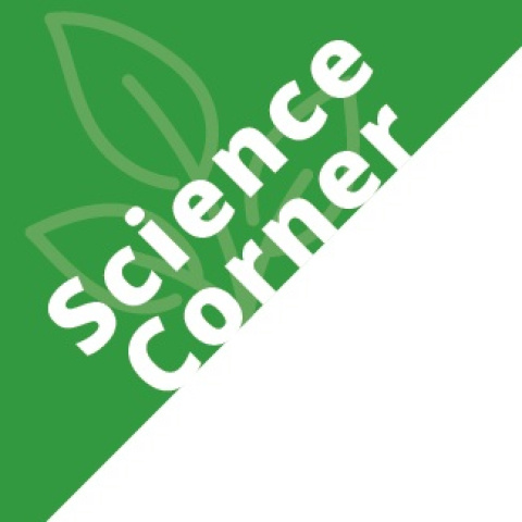 Science Corner