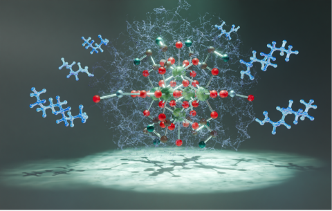 Scientists designed atomically precise water-soluble nanoclusters to detect dangerous PFAS molecules with a single step. Light is used to activate the nanosensor, allowing fast, remote detection.