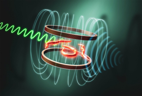 This illustration shows the combined effect of static and radiofrequency magnetic fields on the fluorescence from nematodes expressing the red fluorescent protein mScarlet. Magnetic fields affect the protein’s fluorescence signal intensity and thus serve as a quantum biosensor. 