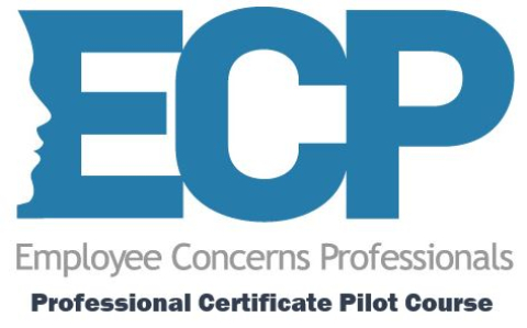 ECP Professional Certificate Pilot Course