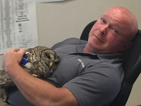 The injured owl rests in the arms of Swift & Staley Operations and Maintenance Manager Kyle Gore.