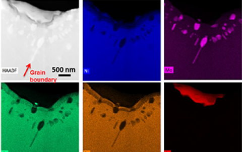 A picture that shows six boxes of different grain samples