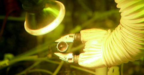 A picture of a mechanical arm inside a hot cell at Oak Ridge National Laboratory.