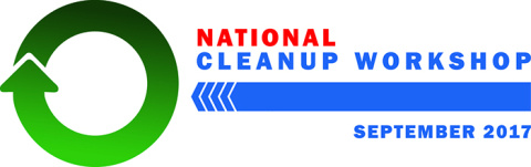 National Cleanup Workshop