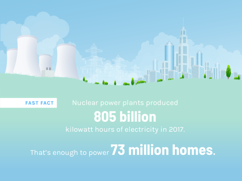 Nuclear fast facts infographic