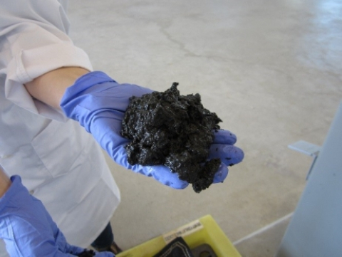 Sludge from Metro Vancouver’s wastewater treatment plant Sludge from a wastewater treatment plant