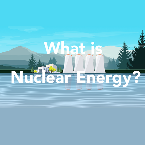 Picture of a nuclear reactor that reads what is nuclear energy.