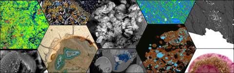 montage of microscopy images 