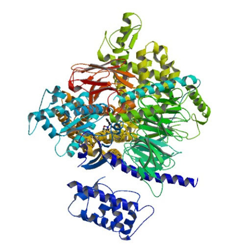 Crystal structure of the beta2 adrenergic receptor-Gs protein complex.