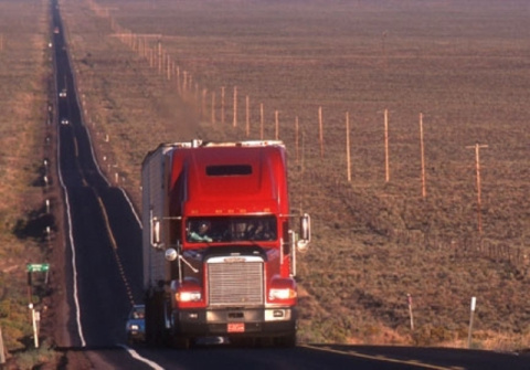 Commercial trucks in the U.S. burned approximately 22 billion gallons of diesel fuel in 2010. Replacing diesel with a clean, green and renewable biofuel could substantially reduce the industry’s carbon footprint.