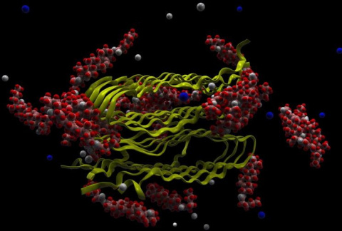 This is a visualization of drug molecules ("parade day-like balloons") in a simulated attack of the ribbon-like protein fibrils that are believed to be the cause of Alzheimer's disease.