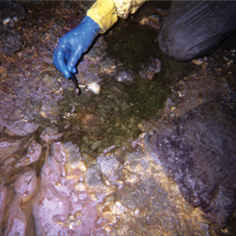 Graber New Technique