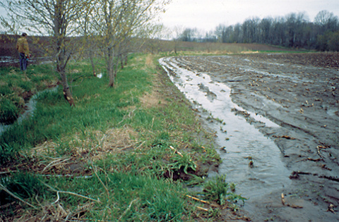 Modeling Water Runoff