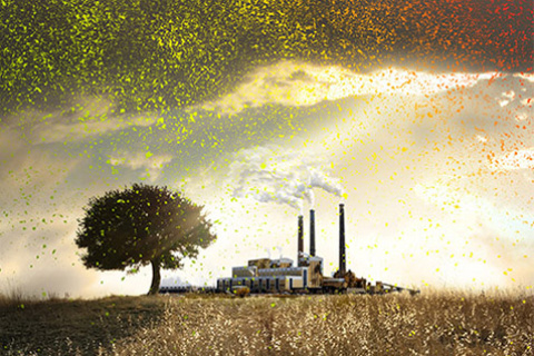 Natural Chemicals Transform Man-Made Particulates