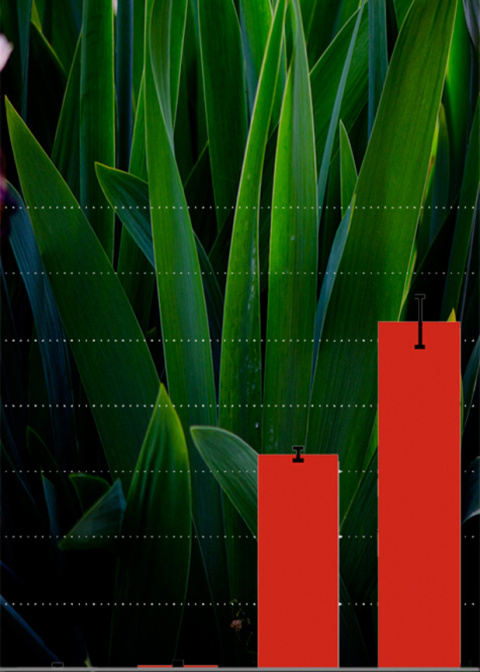 Designer Yeast Consumes Plant Matter and Spits Out Fatty Alcohols for Detergents and Biofuels 