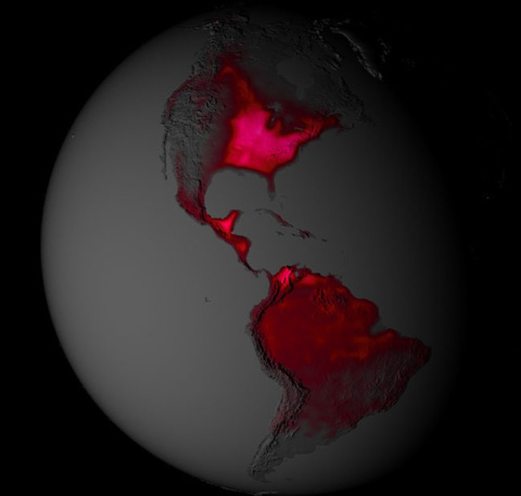 Scaling Plant Traits Stymied by Uncertainty in Measured Global Photosynthesis
