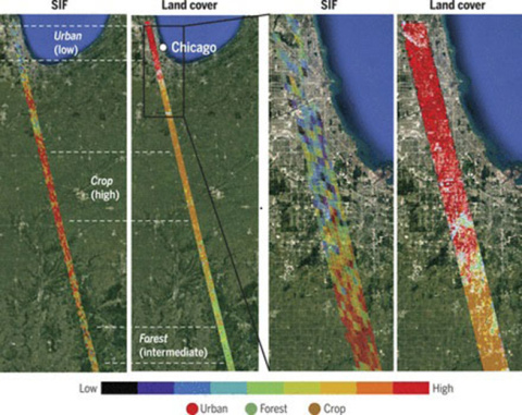 Measuring the Glow of Plants from Below