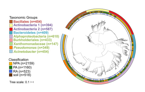 A Functional Genomics Database for Plant Microbiome Studies