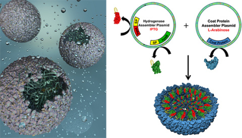 More Efficient Conversion of Water to Hydrogen Fuels