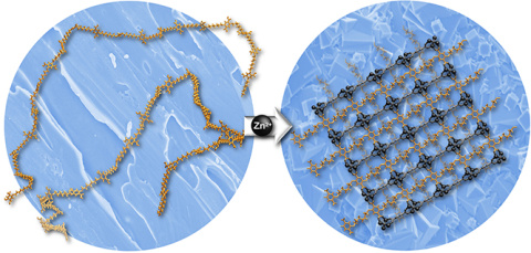 Novel Porous Materials 