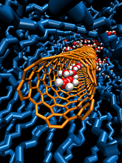 Fast and Furious Bucket Brigade