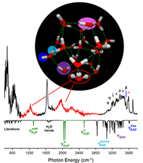 Finding Where the Missing Proton Goes in Water