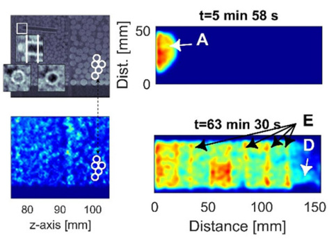 Powell_Clemson_Fitzsimmons