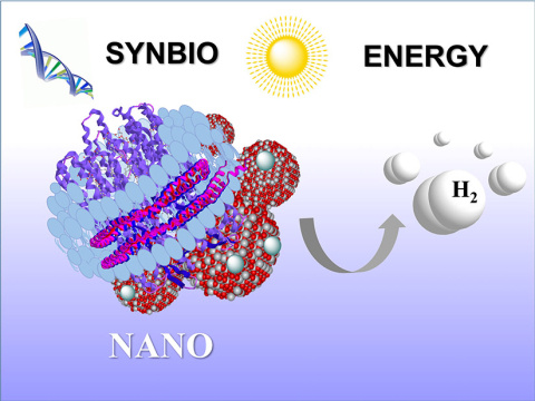 Photosynthesis without Cells: Turning Light into Fuel