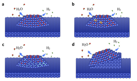 See What Lies Beneath