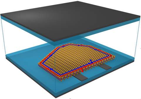 An Exotic State of Matter Discovered in 2-D Material