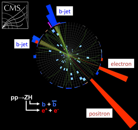 This display shows an actual particle collision in the CMS detector resulting in the production of a Higgs boson candidate that subsequently decayed into two bottom quarks.