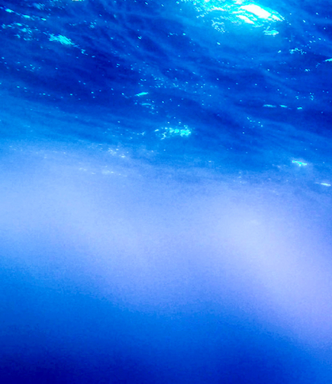 Ocean research at Lawrence Berkley National lab