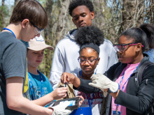 Students from South Aiken High School participate in the Science Technology Enrichment Program at the Savannah River Site, netting small aquatic creatures and testing pond water to learn more about freshwater ecosystems.