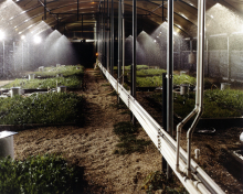 Soil study at DOE's Argonne National Lab