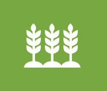 Green spherical icon of biomass plants growing in a row.